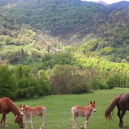 Отель Mas Regort Вальфогона-де-Риукорб Экстерьер фото